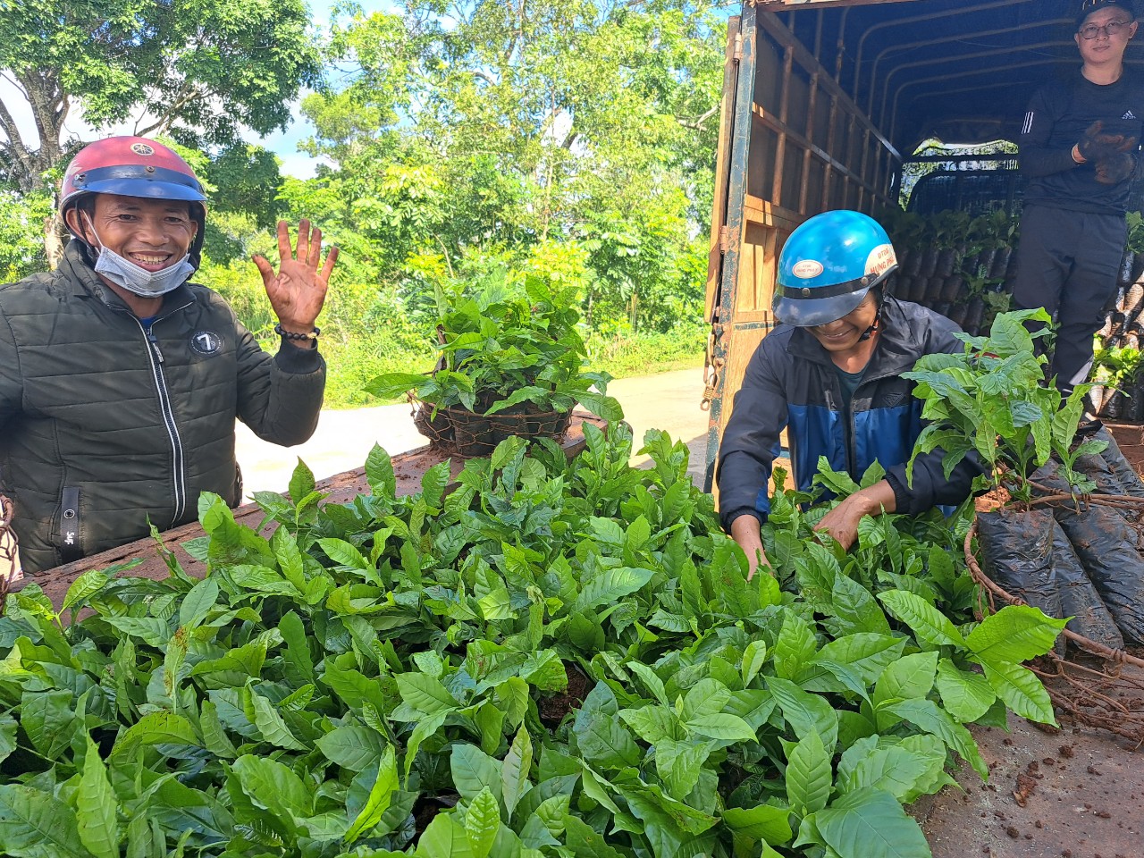 Hình 4. Bà con nông dân tiếp nhận cây giống